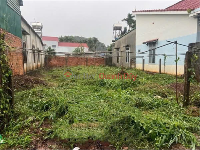 BEAUTIFUL LAND - INVESTMENT PRICE - OWNER NEEDS TO SELL LAND LOT IN Hoa Thang, Buon Ma Thuot, Dak Lak | Vietnam Sales đ 3.55 Billion