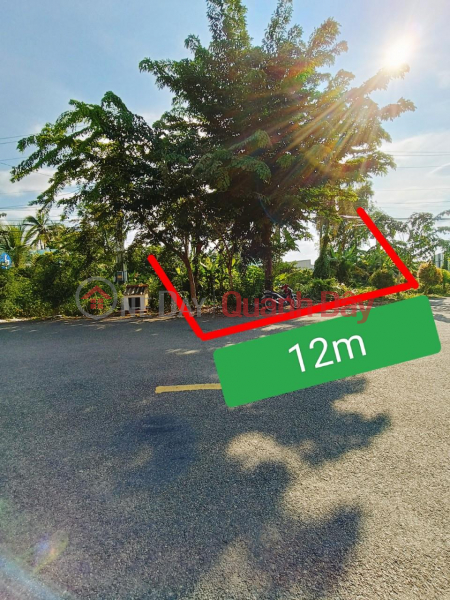 OWNER FOR FAST SALE OF LAND - GOOD PRICE Location At Route 978 Cau Sap - Ninh Quoi A Market | Vietnam, Sales | ₫ 1.32 Billion