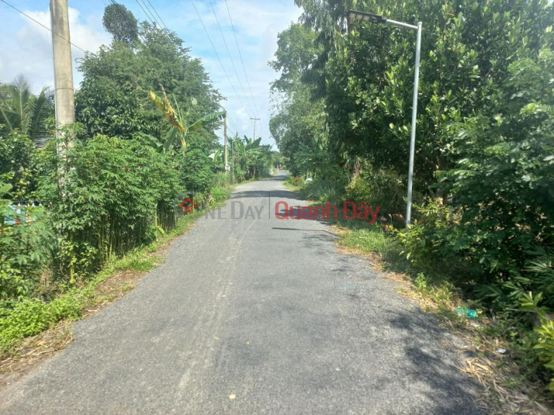 Property Search Vietnam | OneDay | , Sales Listings | Land for sale 3.5m asphalt road, My Tho commune, Cao Lanh district.