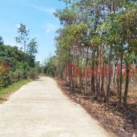 Selling at a loss of 1 pole of land 40m with concrete frontage behind the lake at Tan Phu _0