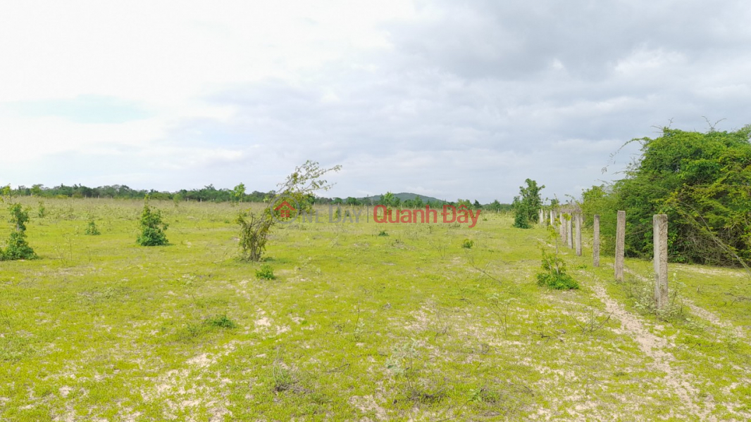 BEAUTIFUL LAND - GOOD PRICE Owner For Sale Land Lot Prime Location In Hong Liem Commune, Ham Thuan Bac District, Vietnam | Sales | đ 1.14 Billion