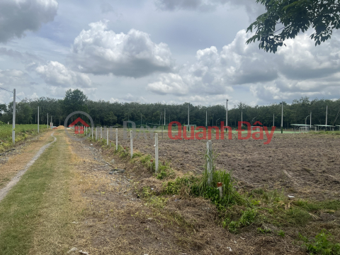 Urgent Sale of Land Plot next to District People's Committee, Residential Land, Ready Book! _0