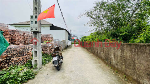 ĐẤT ĐẸP – GIÁ ĐẦU TƯ – CHÍNH CHỦ CẦN BÁN LÔ ĐẤT TẠI Xóm 8, Xã Nghi Kim, TP. Vinh, Nghệ An _0