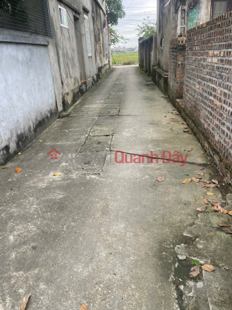 Selling a 72m2 plot of land with full residential zoning in My Quarter - Tri Qua Ward - Bac Ninh. _0