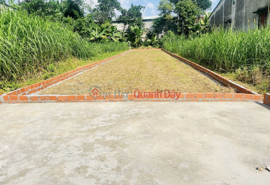 Property Search Vietnam | OneDay | Sales Listings Selling 181m2 of land in Dien Quang, 50m from National Highway, price only 5xx, book available