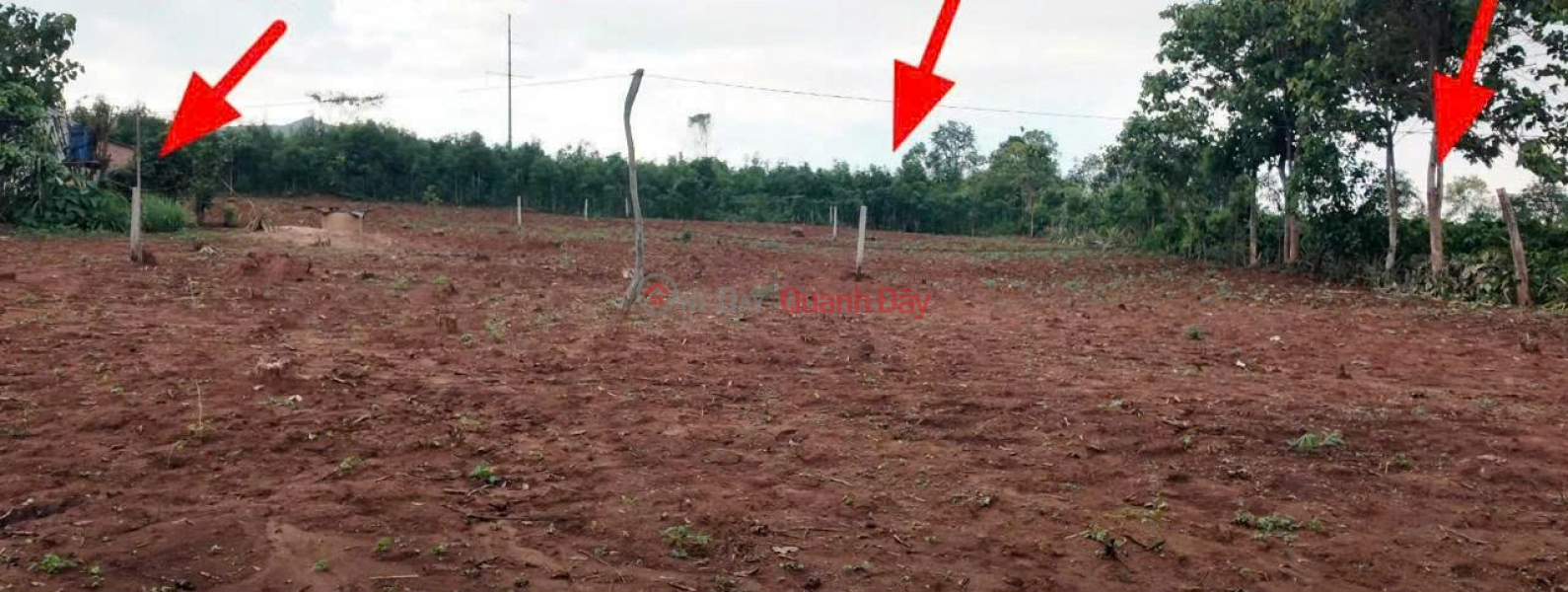 BEAUTIFUL LAND - GOOD PRICE - URGENT SALE Potential land lot in Klen Village, Ia Khuol Commune, Chu Pah, Gia Lai. | Vietnam | Sales đ 350 Million