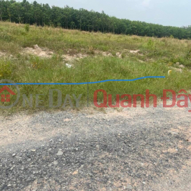BEAUTIFUL LAND - GOOD PRICE - Urgent Sale Land Lot with Beautiful Location Front Alley Road in Ben Cat Town _0