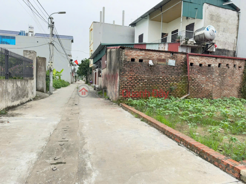 Beautiful land for sale in Ap Tre village, (Group 9) - Quang Minh commune, Hanoi city. Near industrial park, CD school, Vietnam Sales, đ 4.9 Billion