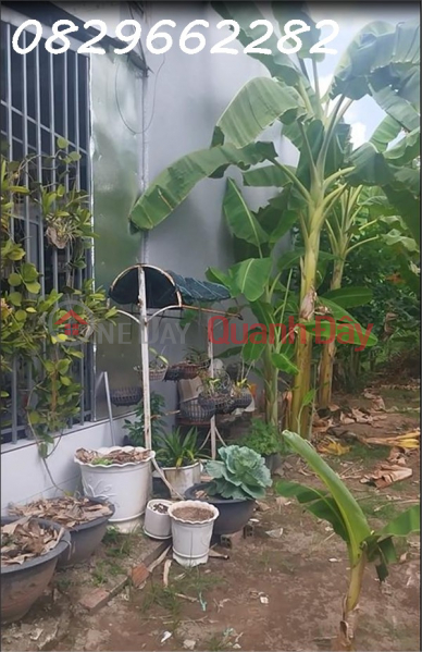 Bán Nền Thổ cư khóm Tân Thuận. Phường, Sa Đéc, Đồng Tháp, 77m2, Sổ Hồng. Giá chỉ 1.1 Tỷ! | Việt Nam, Bán | đ 1,1 tỷ
