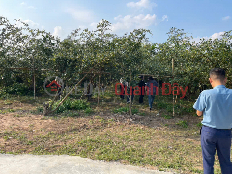 LAND PLOT IN CHŨ, BAC NINH, PRICE 520 MILLION VND, 450M2, STABLE RESIDENTIAL AREA. Nguyen Hung Real Estate - 0989333012 _0