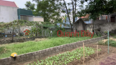 BEAUTIFUL LAND - GOOD PRICE - FOR URGENT NEED FOR SALE Land Plot In Sam Son, Thanh Hoa. _0