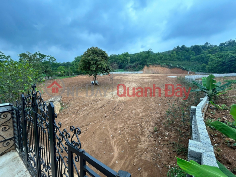 CHÍNH CHỦ CẦN BÁN GẤP – SIÊU PHẨM ĐẤT ĐẸP TẠI YÊN BÀI (VÂN HÒA CŨ),BA VÌ, HÀ NỘI _0