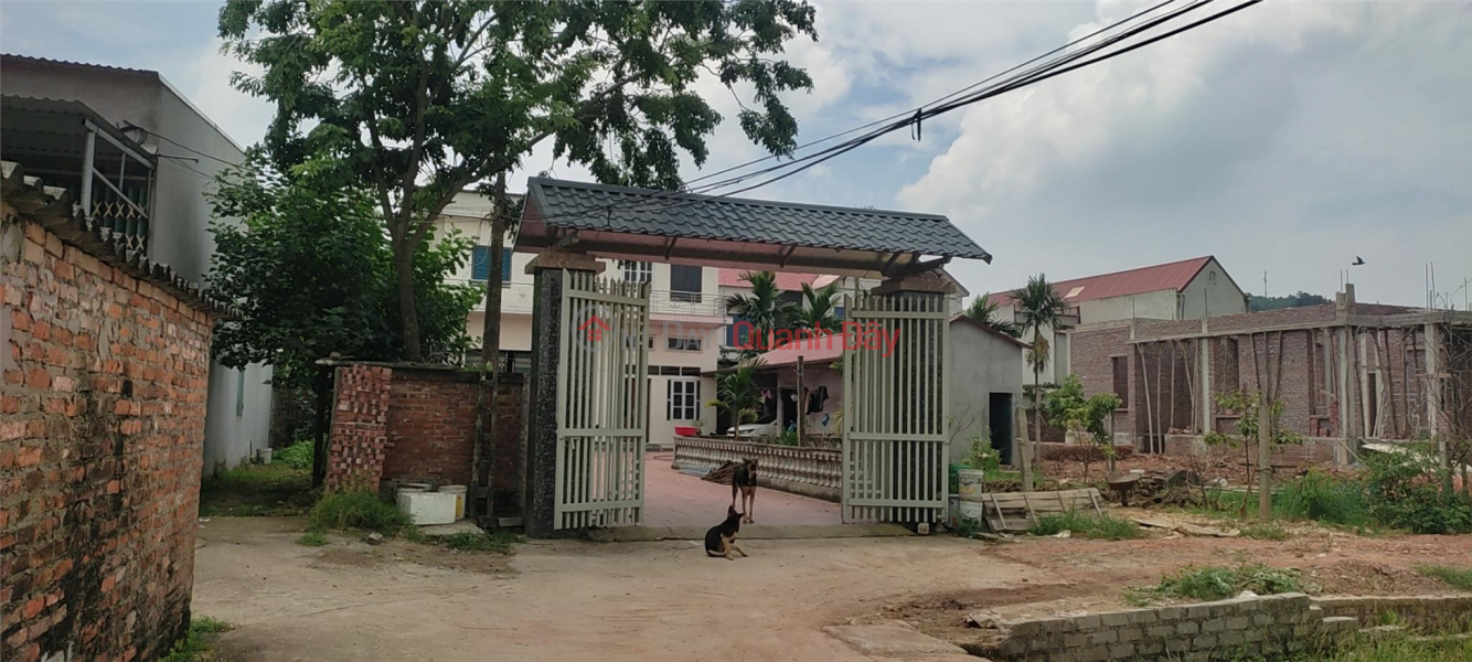 Property Search Vietnam | OneDay | Residential | Sales Listings Land for sale in Phuc Ha Village - Song Mai Commune - Bac Giang City