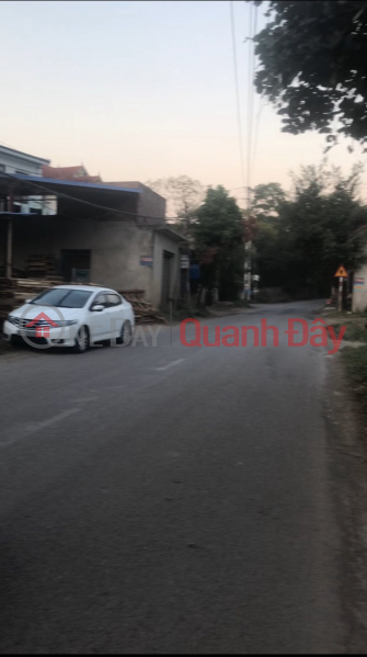 QUICK SALE OF LAND ON PROVINCIAL ROAD 35, SOC SON | Vietnam, Sales, đ 30 Million