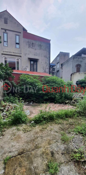 For sale 61m LAND, 8m Bo De, Long Bien, price 4 BILLION, Business, suitable to build 7T elevator, cash flow house, divided into 2 cans Sales Listings