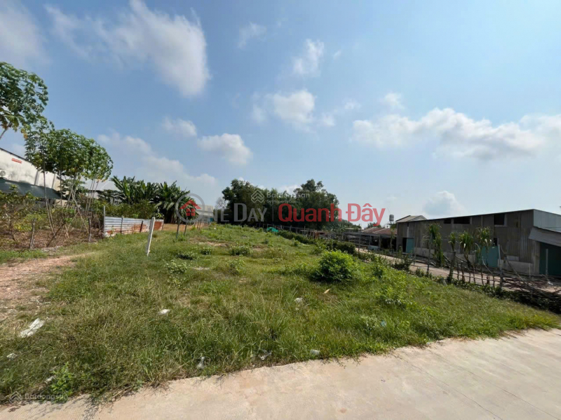 Property Search Vietnam | OneDay | Residential, Sales Listings Beautiful land for sale, good price in Vinh Thanh, Nhon Trach, Dong Nai, over 5 billion, 1007m2