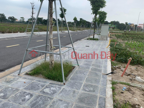 For sale 2 plots of land at auction x2 Thai Binh Mai Lam Dong Anh Hanoi _0