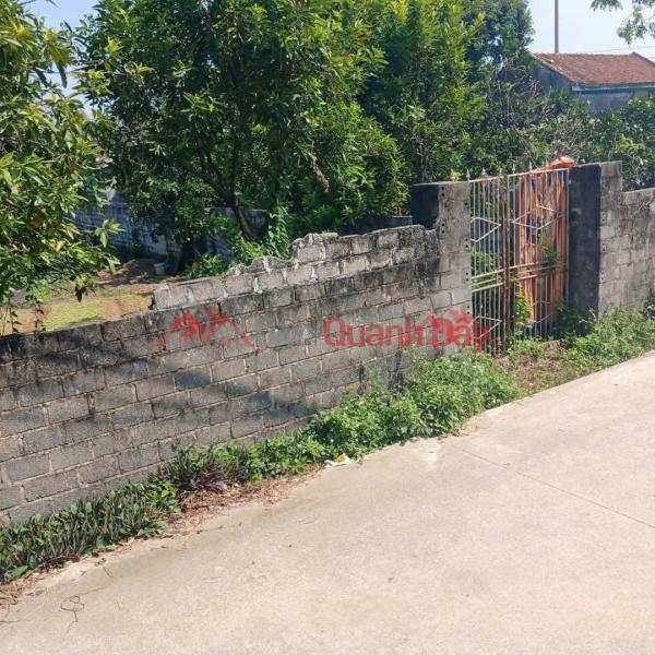 Property Search Vietnam | OneDay | Nhà ở, Niêm yết bán, CHÍNH CHỦ BÁN LÔ ĐẤT 357,3M HOÀNG VĂN THỤ-CHƯƠNG MỸ-HÀ NỘI
