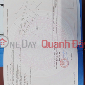 Land for sale in Son Hai 2 Hamlet, Phuoc Dinh Commune, Thuan Nam District, Ninh Thuan Province. _0