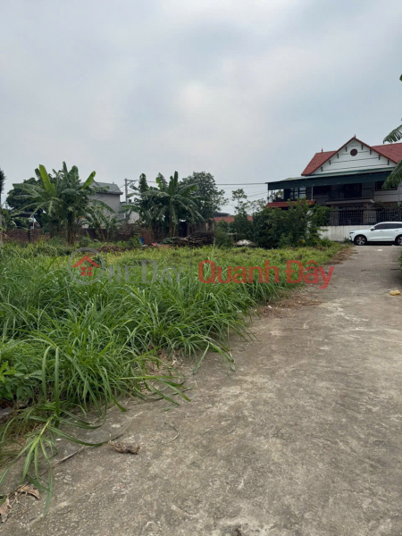 BÁN ĐẤT MINH PHÚ- SÓC SƠN NGÕ Ô TÔ QUA 81 M2 MẶT TIỀN 5M X 1.77 tỷ. | Việt Nam, Bán đ 1,77 tỷ