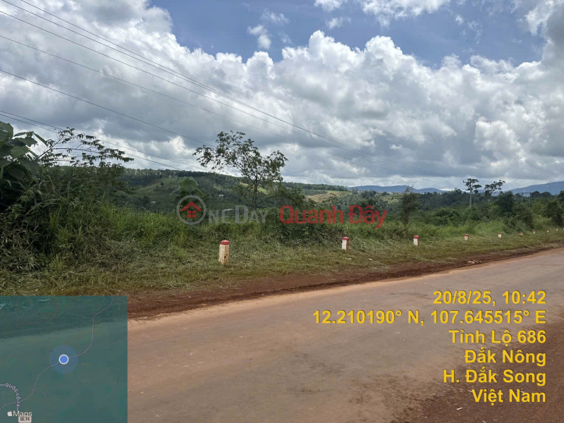 Bán gấp đất tỉnh lộ 686 xã Nâm N\'Jang, huyện Đắk Song, Đắk Nông, 427m2, MT 13.5m, miễn TG Niêm yết bán