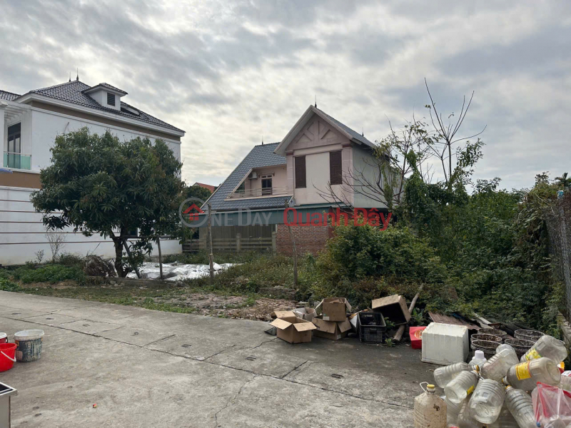 Land for sale in Thanh Lam, Me Linh, Hanoi. Near Me Linh Flower and Fruit Market. The largest wholesale market in the North. Sales Listings