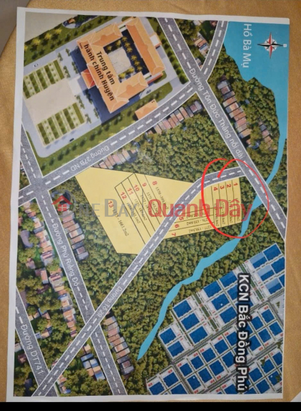 BIG LOSS CUT – OWNER IN FINANCIAL DIFFICULTIES NEEDS TO SELL LAND PLOT URGENTLY IN TAN PHU TOWN, DONG PHU DISTRICT, BINH PHUOC PROVINCE Vietnam, Sales | đ 550 Million