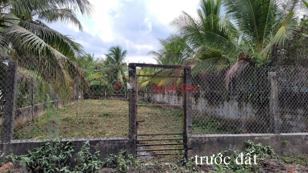 Property Search Vietnam | OneDay | Residential | Sales Listings PRIME LAND - GOOD PRICE QUICK SELLING At National Highway 1A, Long An Commune, Chau Thanh, Tien Giang