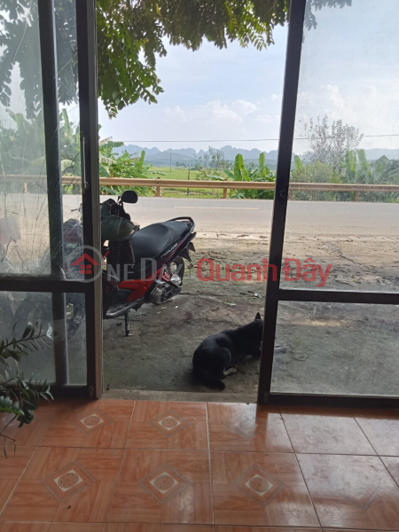 Property Search Vietnam | OneDay | Residential | Sales Listings | PRIMARY LAND - Beautiful Land Lot for Quick Sale in Quang Trung Commune, Ngoc Lac District, Thanh Hoa