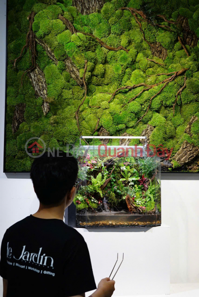 Le Jardin Terrarium - Shop uy tín tại HCM, 37 Hoa Mai (Le Jardin Terrarium - Prestigious shop in HCM, 37 Hoa Mai) Phú Nhuận | ()(1)