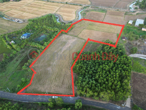 OWNER - LARGE LAND FOR SALE NEAR THE SEA, INDUSTRIAL PARK Lang Dai Commune, Long Dat District, Ba Ria - Vung Tau. _0