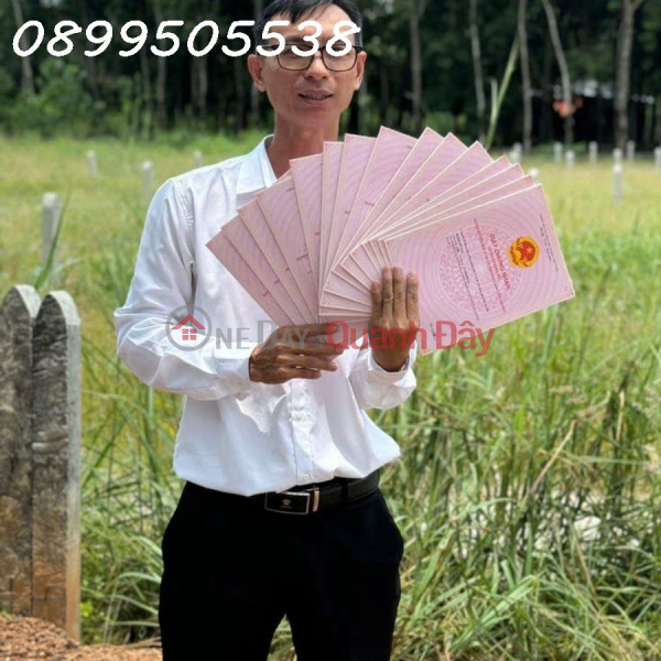 Quick sale Golden Opportunity: Beautiful Land, Surprisingly Cheap Price - Buy Now! Dau Tieng Binh Duong 290 million Sales Listings