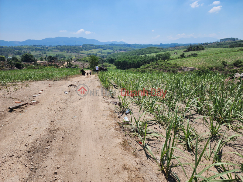 Property Search Vietnam | OneDay | Residential, Sales Listings | Lock 6 plots of land in M'Drak district - Dak Lak. Cheap land by owner only from 160 million\\/lot.