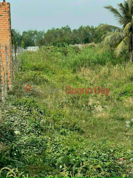 BEAUTIFUL LAND - FOR Urgent SALE At Provincial Road 824 (830 units) At Hamlet 10, Luong Hoa Commune, Ben Luc, Long An Vietnam, Sales | ₫ 6.5 Billion