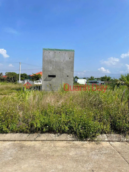 Land for sale in Dong Dinh Village, Dien Toan Commune, Dien Khanh District, Khanh Hoa Province, Vietnam, Sales, đ 1.3 Billion