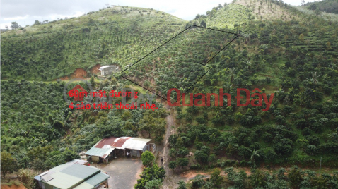 BEAUTIFUL LAND - GOOD PRICE - Land Lot For Sale Prime Location In Loc Thanh Commune, Bao Lam District, Lam Dong _0