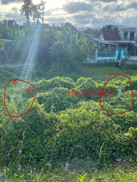 Property Search Vietnam | OneDay | Residential Sales Listings | ONLY 2.4 BILLION – LAND FRONTAGE ON TRUONG CHINH STREET – 100M² – BEAUTIFUL LOCATION, HARD TO FIND!