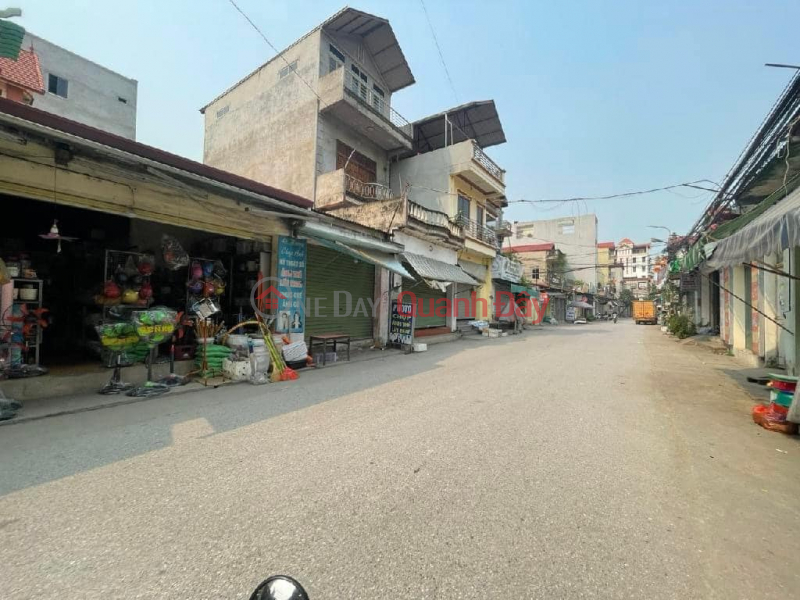 Property Search Vietnam | OneDay | Residential, Sales Listings, HOT - HOT - Mai Chau Village - Dai Mach Commune - Dong Anh Square plot of land, future value of Dong Anh to district