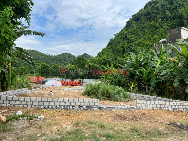 Land with clear ownership - exceptionally beautiful location at Group 1, Ba Sao Town, Kim Bang District, Ha Nam Province. | Vietnam, Sales đ 11.5 Billion