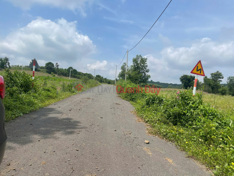 Property Search Vietnam | OneDay | Residential | Sales Listings, Owner land in Binh Trung commune, Chau Duc, BRVT