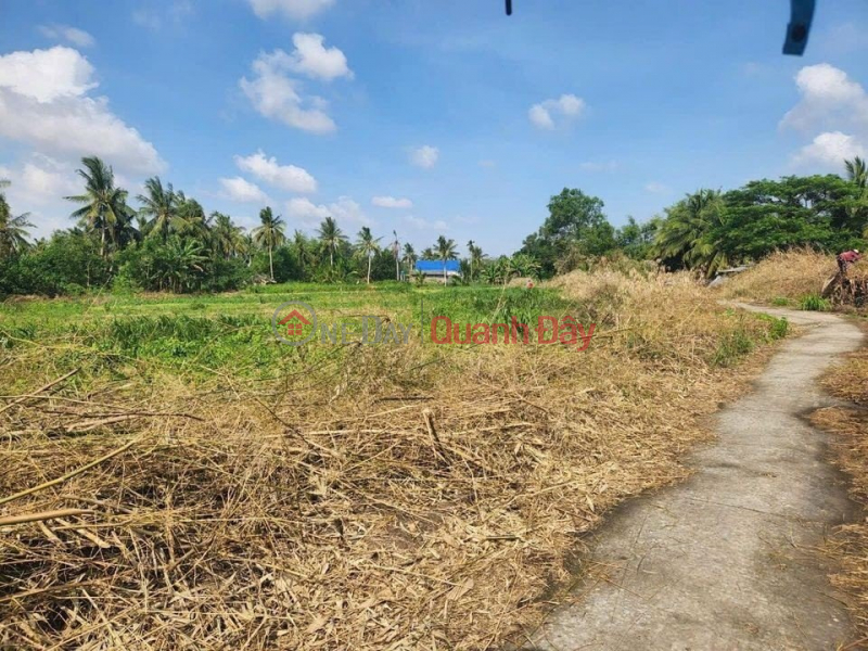 Property Search Vietnam | OneDay | Sales Listings FULL SALE BACKGROUND 500m2 FULL PLANTS Location: 800m from DT934, in Vien An commune, Tran De, Soc Trang.