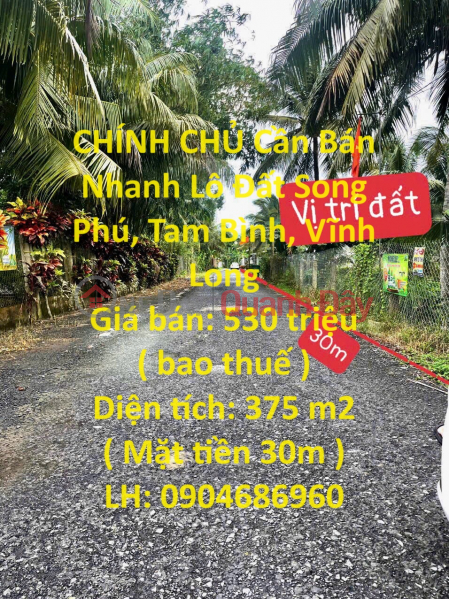 OWNER Needs to Sell Song Phu Land Plot Quickly - Near Song Phu Urban Area Sales Listings