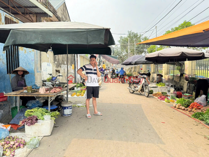 Land for sale in the center of Chi Dong town, Me Linh, Hanoi. Market frontage, beautiful business frontage. Sales Listings