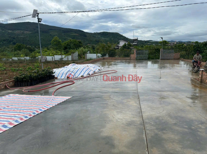 Selling 21000m2 (21 sao) of land, house, pond, coffee garden - Lien Hiep Commune - Duc Trong Lam Dong Vietnam | Sales đ 12 Billion