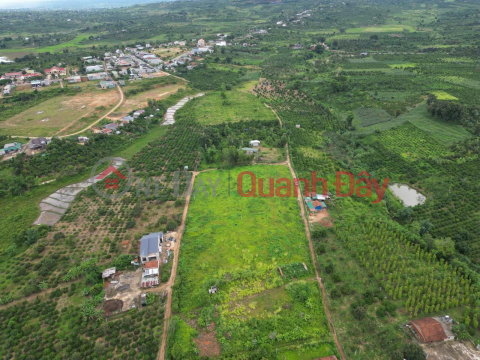 Own a Beautiful Land Lot, Prime Location In Krong Nang District, Dak Lak _0