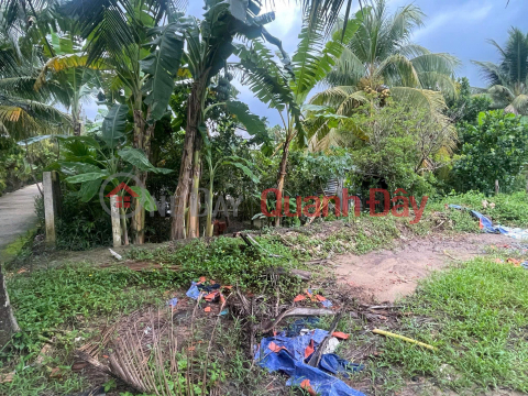 BEAUTIFUL LAND - GOOD PRICE - OWNER FOR SALE At Long Hung, Chau Thanh, Tien Giang _0