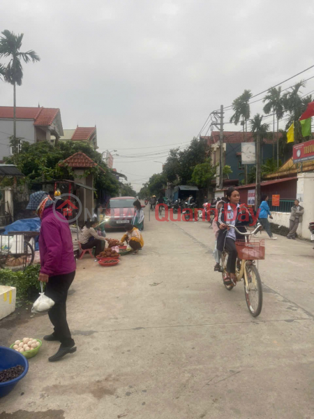 OWNERSHIP OF PROJECT LAND Center of Hoang Hanh Commune, Hong Chau Ward, Hung Yen | Vietnam | Sales đ 41 Million