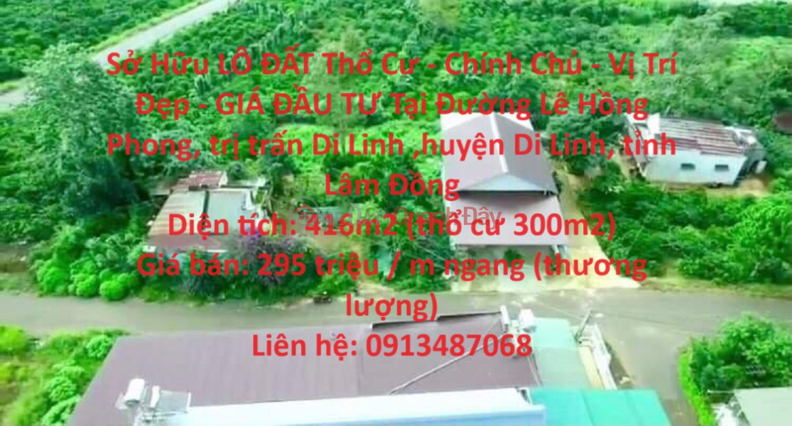 Own a RESIDENTIAL LOT OF LAND - Owner - Beautiful Location - INVESTMENT PRICE In Di Linh - Lam Dong Sales Listings