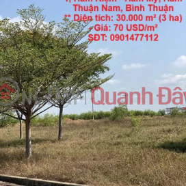 BEAUTIFUL LAND - INVESTMENT PRICE - FOR SALE LAND LOT IN INDUSTRIAL PARK Ham Kiem 1, Ham Kiem - Ham My, Ham Thuan Nam, Binh Thuan _0