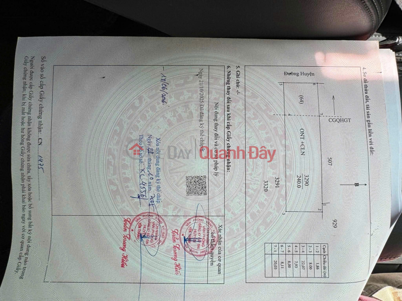 HOT HOT – OWNER NEEDS TO SELL 3 PLOTS OF LAND AT A GOOD PRICE IN GIAI LAC COMMUNE, YEN THANH DISTRICT, NGHE AN PROVINCE. Sales Listings